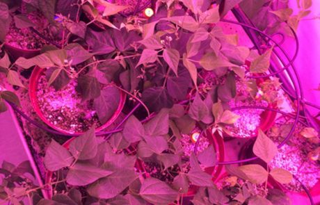 Untitled-1_0001_2017-07-13-16.07.25