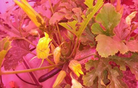 Untitled-1_0002_PHOTO-2017-02-27-12-43-41