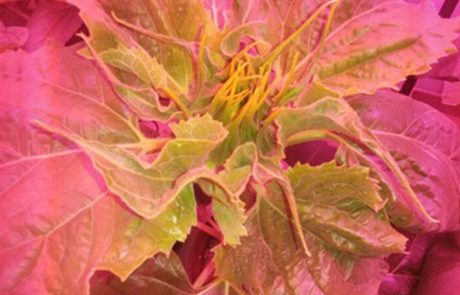 Untitled-1_0003_PHOTO-2017-02-27-12-43-18